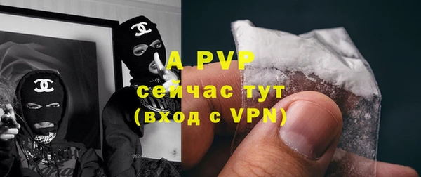 гидра Аркадак