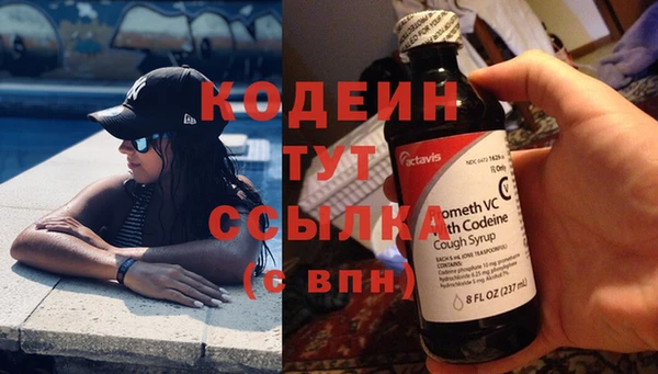 гидра Аркадак