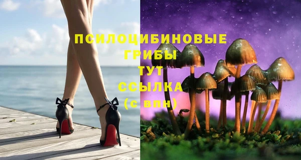 СК Вязники