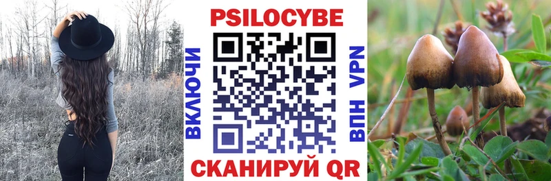 blacksprut маркетплейс  Темрюк  Галлюциногенные грибы Cubensis 